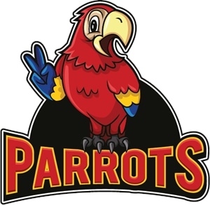 Buy Parrots Online